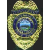 NEBRASKA STATE PATROL PIN MINI BADGE LIEUTENANT PIN